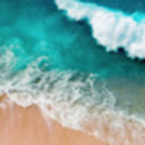 Meet your Posher, Maya